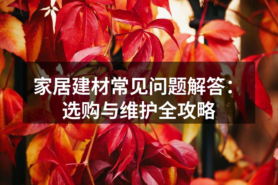 家居建材常见问题解答:选购与维护全攻略