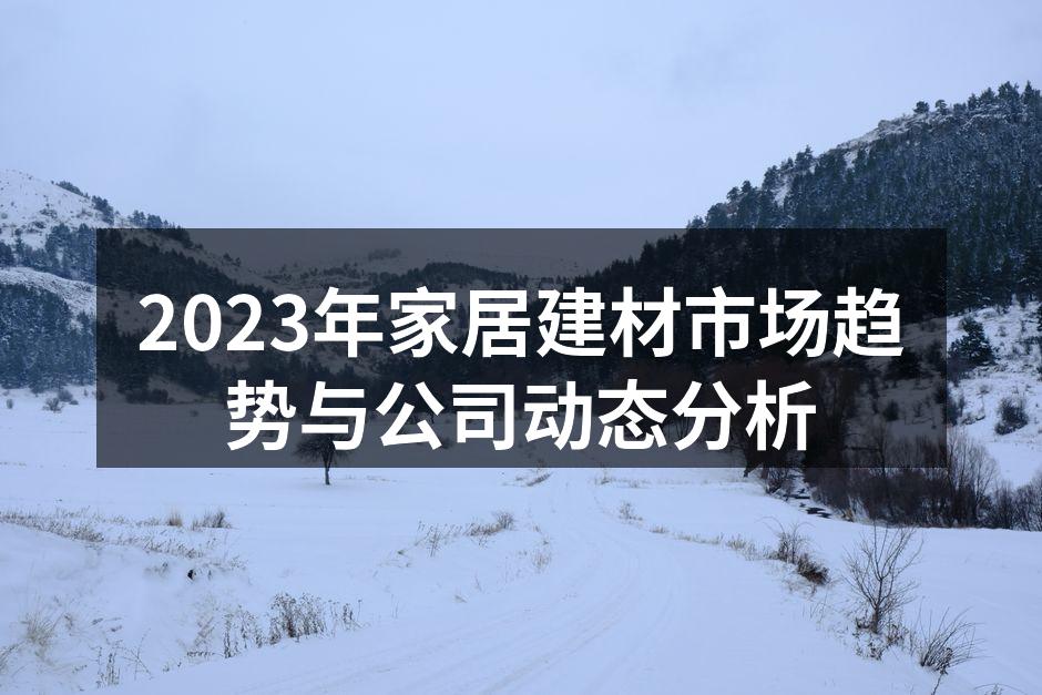 2023年家居建材市场趋势图